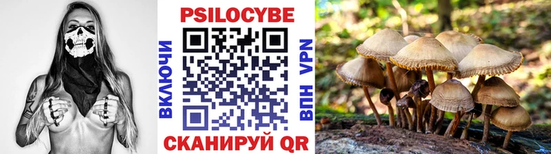 МЕГА онион  Дальнегорск  Галлюциногенные грибы Magic Shrooms  где найти  