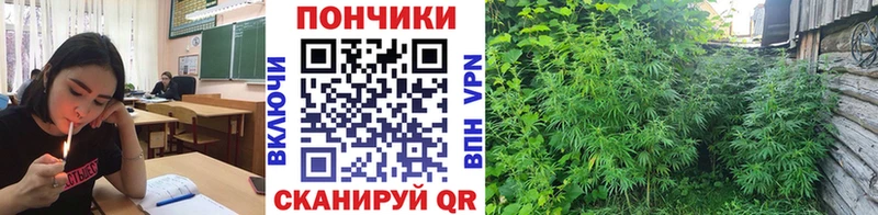 МАРИХУАНА White Widow  Дальнегорск 
